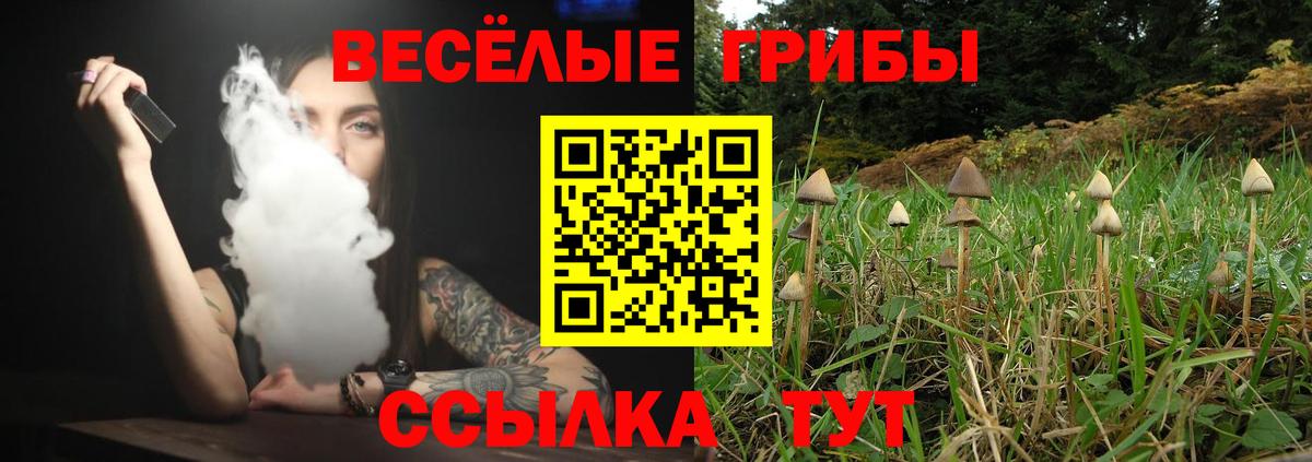 Шадринск  Псилоцибиновые грибы мицелий  Вход с VPN  Галлюциногенные грибы Magic Shrooms 