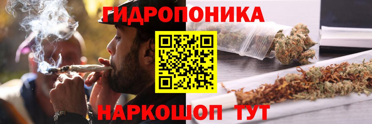 Канабис план Шадринск